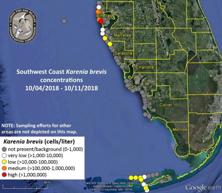 FWC: Red tide reduced in Manatee, Sarasota counties - abcactionnews.com